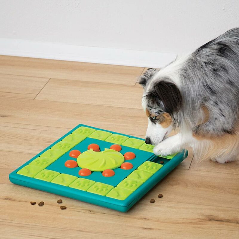 Juguete de inteligencia para perros Multipuzzle