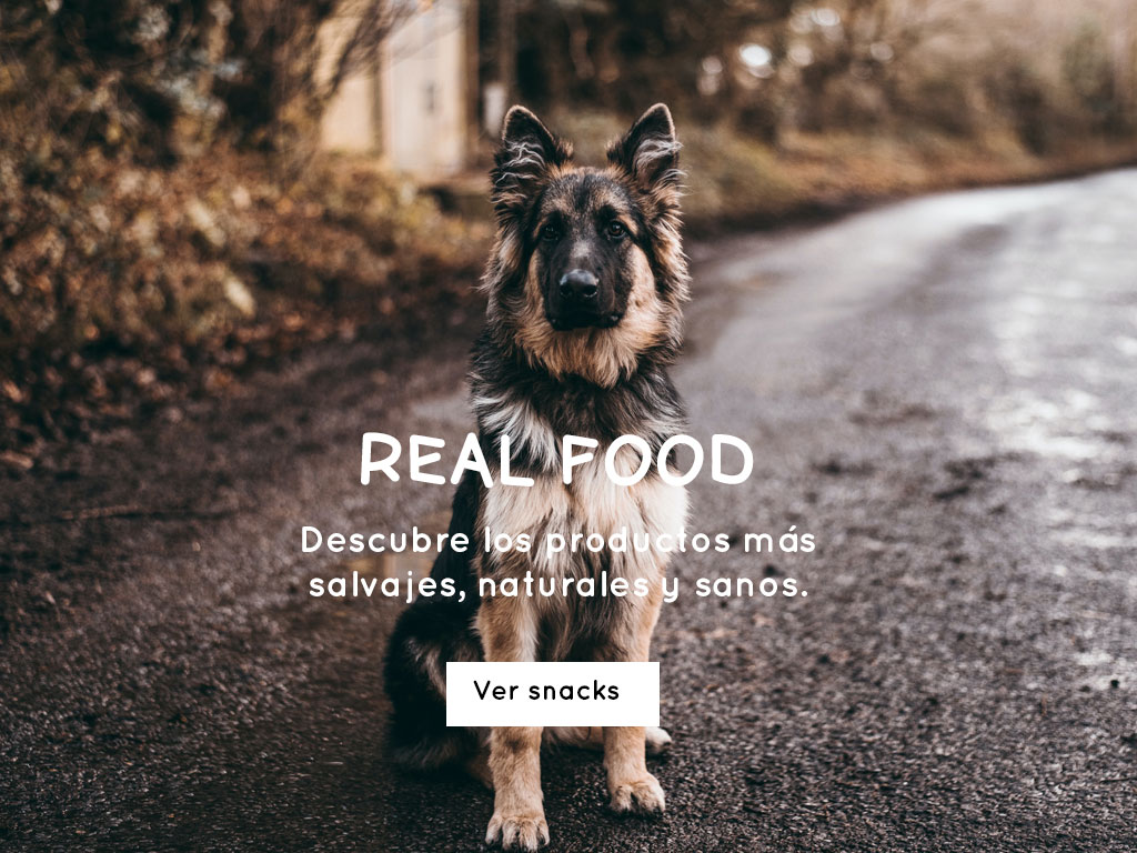 Snacks naturales para perros