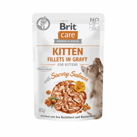brit care gato filetes de salmón en salsa kitten